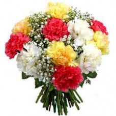 Bunch of Mixed Carnations